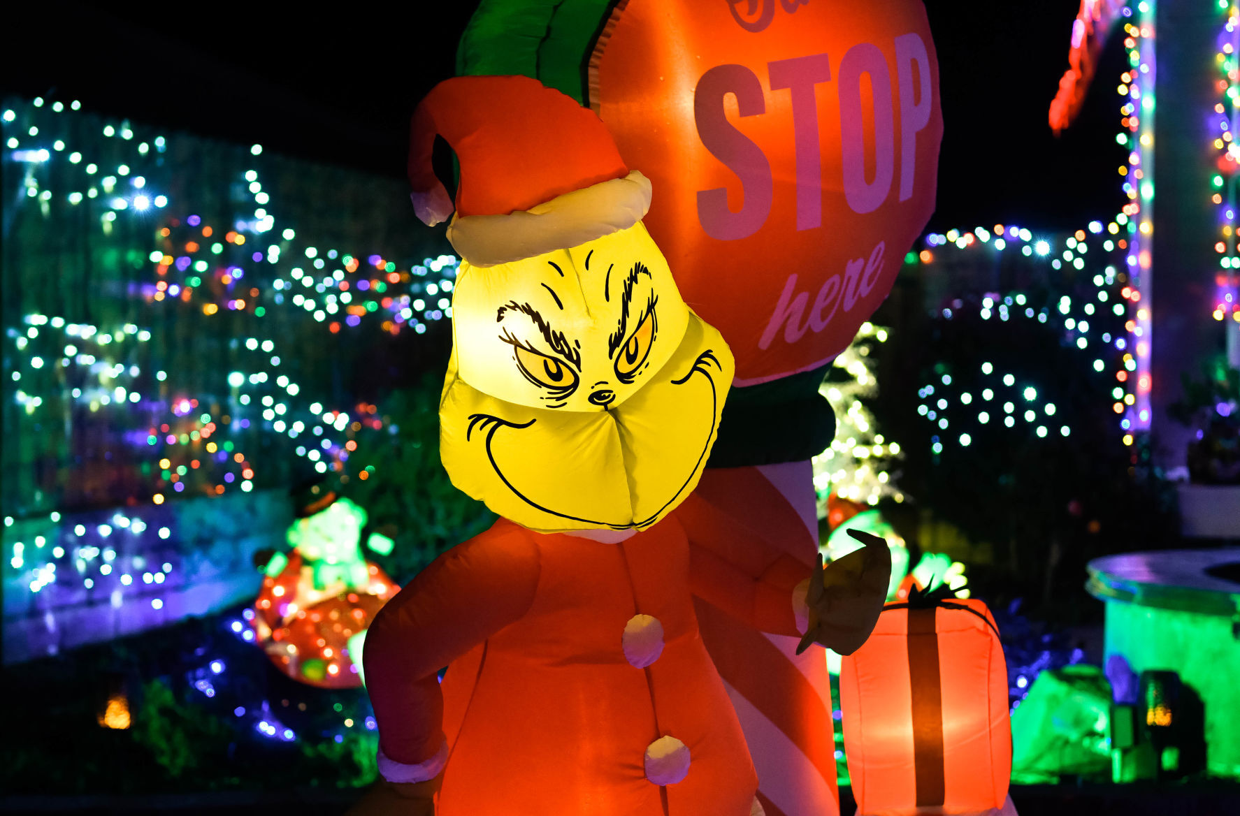 2021 Lompoc Decoration 1117 Bellflower 02.JPG